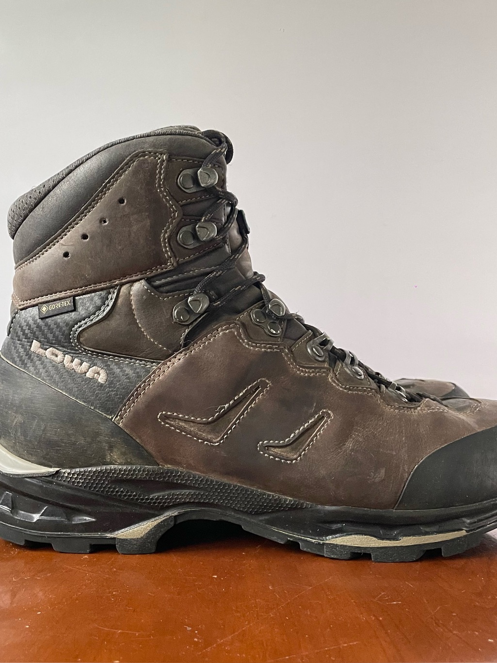 Lowa Camino Gtx Men’s Hiking Boots | Us 10.5